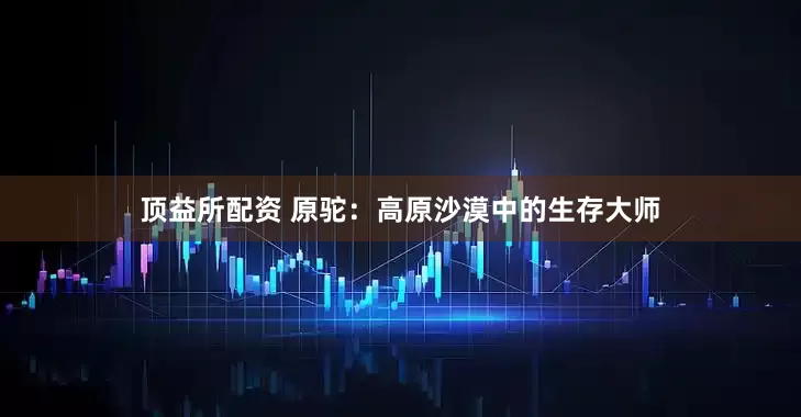 顶益所配资 原驼：高原沙漠中的生存大师