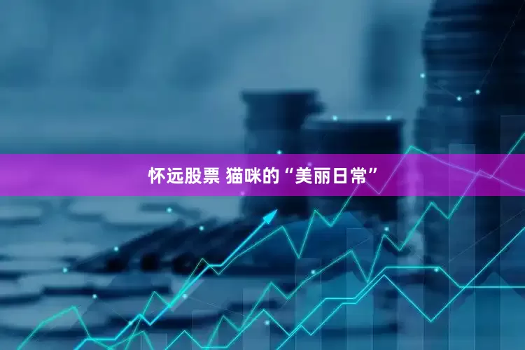 怀远股票 猫咪的“美丽日常”