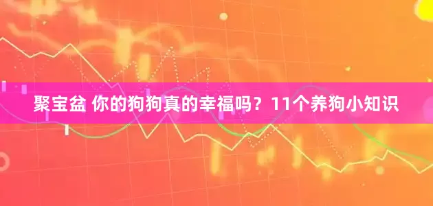 聚宝盆 你的狗狗真的幸福吗？11个养狗小知识