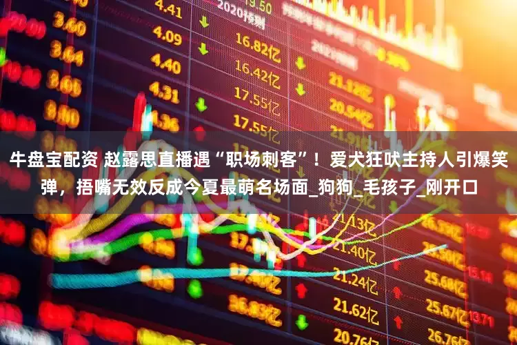 牛盘宝配资 赵露思直播遇“职场刺客”！爱犬狂吠主持人引爆笑弹，捂嘴无效反成今夏最萌名场面_狗狗_毛孩子_刚开口