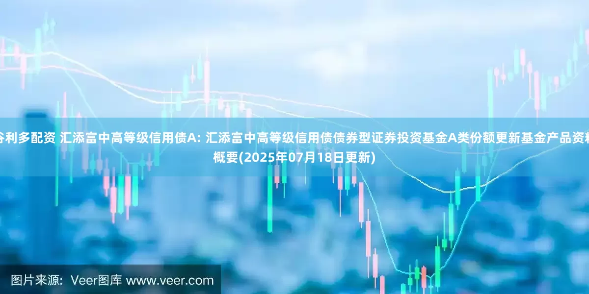 谷利多配资 汇添富中高等级信用债A: 汇添富中高等级信用债债券型证券投资基金A类份额更新基金产品资料概要(2025年07月18日更新)