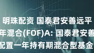 明珠配资 国泰君安善远平衡配置一年混合(FOF)A: 国泰君安善远平衡配置一年持有期混合型基金中基金(FOF)(A类份额)基金产品资料概要更新
