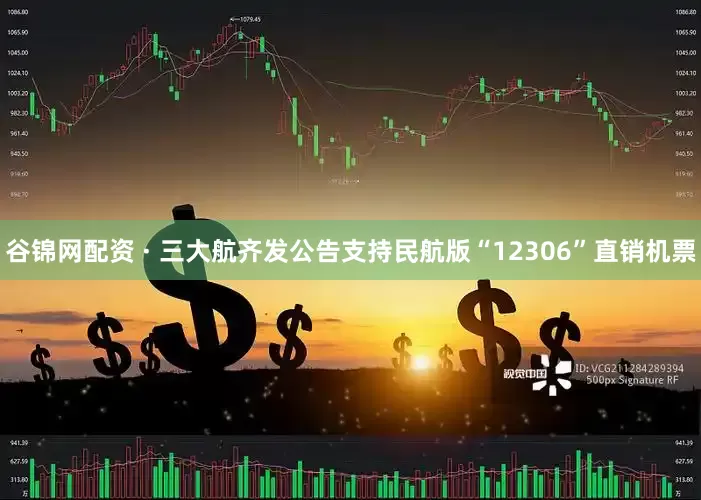 谷锦网配资 · 三大航齐发公告支持民航版“12306”直销机票