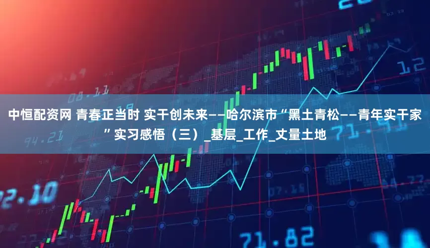 中恒配资网 青春正当时 实干创未来——哈尔滨市“黑土青松——青年实干家”实习感悟（三）_基层_工作_丈量土地