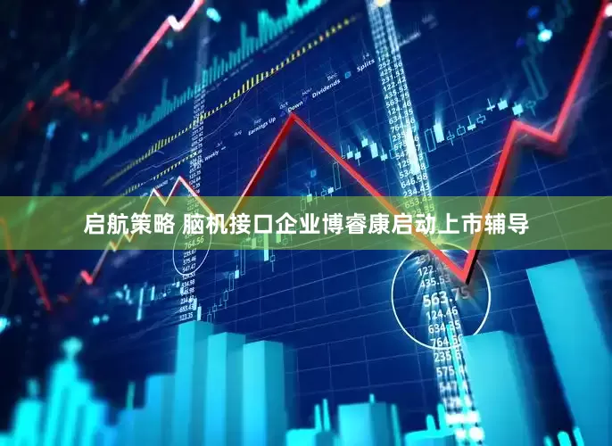 启航策略 脑机接口企业博睿康启动上市辅导